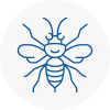 Ashton In Makerfield Hornet Nest Removals